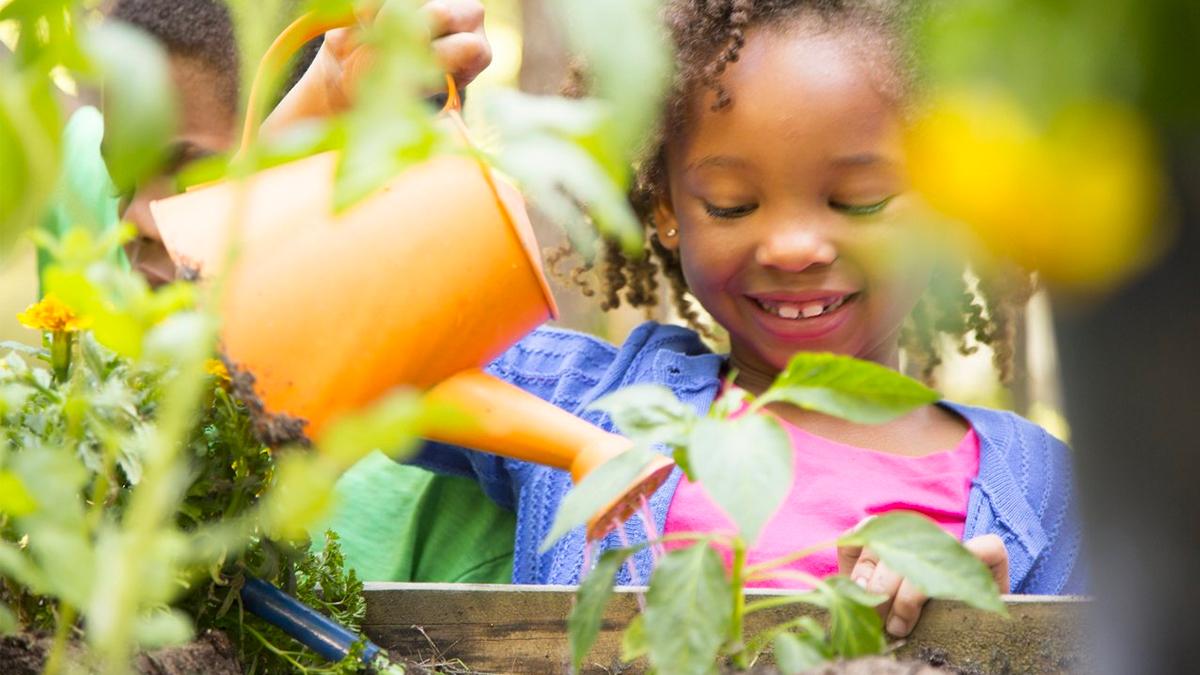 Semana do Meio Ambiente: 5 Atividades Práticas para o 1º ao 3º Ano